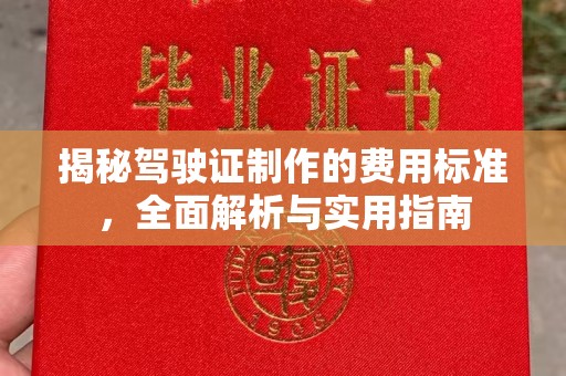 北投揭秘驾驶证制作的费用标准，全面解析与实用指南